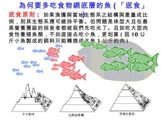 底食原則 :   如果漁獲與當地生態系之結構與產量成比例，則其生態系應可維持平衡。但 問題是 体型大且在最高營養層級的掠食者都被我們先 吃 光了。且 如 吃大型肉食性養殖魚類，不如直接 去 吃小魚 ， 更划算 ( 因 10 公斤小魚製成的餌料只能轉 換 成大魚 1 公斤的肉 ) 為何要多吃食物網底層的魚 ( 「底食」 ) 