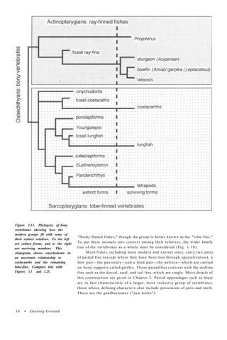 Gaining Ground The Origin And Early Evolution Of Tetrapods Jennifer A ...