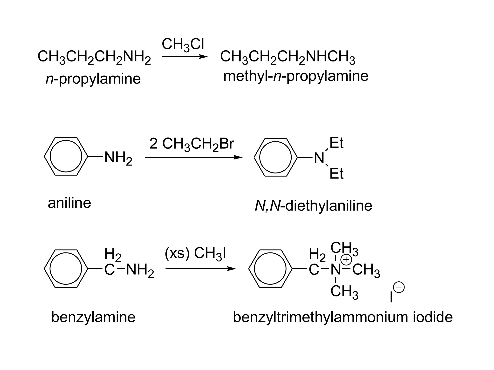 CH3CH2CH2NH2
CH3Cl
CH3CH2CH2NHCH3
n-propylamine methyl-n-propylamine
NH2
2 CH3CH2Br
N
Et
Et
aniline N,N-diethylaniline
H2
C NH2
benzylamine
(xs) CH3I H2
C N
CH3
CH3
CH3 I
benzyltrimethylammonium iodide
 