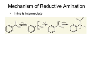 Mechanism of Reductive Amination
• Imine is intermediate
 