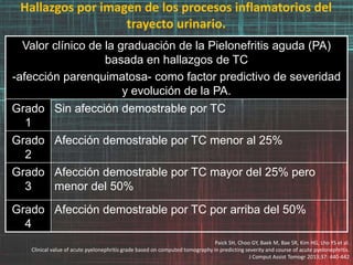 Hallazgos por imagen de los procesos inflamatorios del
trayecto urinario.
Valor clínico de la graduación de la Pielonefritis aguda (PA)
basada en hallazgos de TC
-afección parenquimatosa- como factor predictivo de severidad
y evolución de la PA.
Grado
1
Sin afección demostrable por TC
Grado
2
Afección demostrable por TC menor al 25%
Grado
3
Afección demostrable por TC mayor del 25% pero
menor del 50%
Grado
4
Afección demostrable por TC por arriba del 50%
Paick SH, Choo GY, Baek M, Bae SR, Kim HG, Lho YS et al.
Clinical value of acute pyelonephritis grade based on computed tomography in predicting severity and course of acute pyelonephritis.
J Comput Assist Tomogr 2013;37: 440-442
 