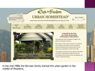 In the mid-1980s the Dervaes family started this urban garden in the
middle of Pasadena.
 
