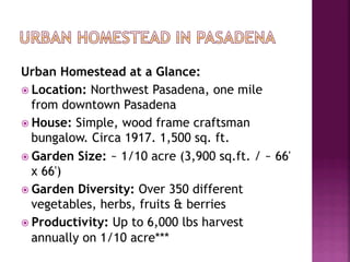 Urban Homestead at a Glance:
ž  Location: Northwest Pasadena, one mile
    from downtown Pasadena
ž  House: Simple, wood frame craftsman
    bungalow. Circa 1917. 1,500 sq. ft.
ž  Garden Size: ~ 1/10 acre (3,900 sq.ft. / ~ 66'
    x 66')
ž  Garden Diversity: Over 350 different
    vegetables, herbs, fruits & berries
ž  Productivity: Up to 6,000 lbs harvest
    annually on 1/10 acre***
 