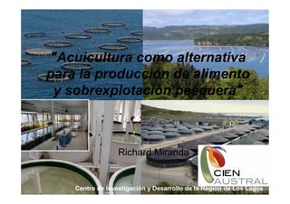 "Acuicultura como alternativa
para la producción de alimento
 y sobrexplotación pesquera"



                  Richard Miranda


    Centro de Investigación y Desarrollo de la Región de Los Lagos
 