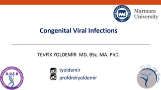 Congenital Viral Infections
TEVFİK YOLDEMİR MD. BSc. MA. PhD.
tyoldemir
profdrdryoldemir
 