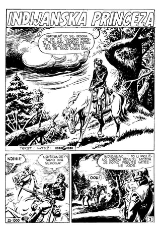 1000  indijanska princeza