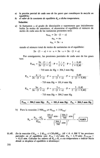 1000 problemas química general (everest)
