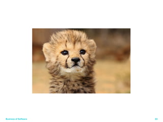 Business of Software 33 
 