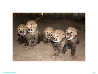 Business of Software 34 
 