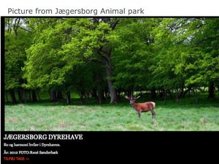 Picture from Jægersborg Animal park




                                      9
 