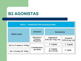 B2 AGONISTAS 