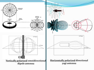 Horizontally polarized directional
yagi antenna
Vertically polarized omnidirectional
dipole antenna
 