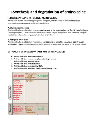 Comprehensive Overview of Nitrogen Metabolism and Amino Acid Catabolism ...