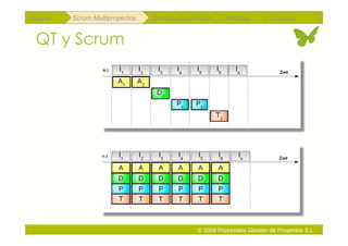 Repaso   Scrum Multiproyectos   Gestión de portfolios    Métricas        Coloquio


 QT y Scrum




                                               © 2009 Proyectalis Gestión de Proyectos S.L.
 