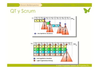 Repaso   Scrum Multiproyectos   Gestión de portfolios    Métricas        Coloquio


 QT y Scrum




                                               © 2009 Proyectalis Gestión de Proyectos S.L.
 