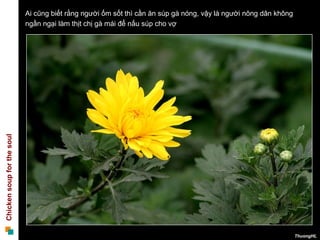 Ai cũng biết rằng người ốm sốt thì cần ăn súp gà nóng, vậy là người nông dân không
                            ngần ngại làm thịt chị gà mái để nấu súp cho vợ
Chicken soup for the soul




                                                                                                                 ThuongHL
 