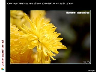 Chicken soup for the soul   Chú chuột nhìn qua khe hở của bức vách với nỗi buồn vô hạn




                                                                                         ThuongHL
 
