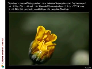 Chú chuột nhìn qua lỗ hổng của bức vách, thấy người nông dân và vợ ông ta đang mở
                            một cái hộp. Chú chuột phân vân “không biết trong hộp đó có đồ ăn gì nhỉ?”. Nhưng
                            rồi chú đã bị thất vọng hoàn toàn khi khám phá ra đó là một cái bẫy!
Chicken soup for the soul




                                                                                                           ThuongHL
 