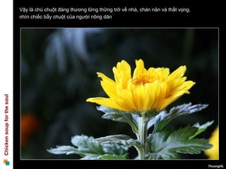 Vậy là chú chuột đáng thương lững thững trở về nhà, chán nản và thất vọng,
                            nhìn chiếc bẫy chuột của người nông dân
Chicken soup for the soul




                                                                                                         ThuongHL
 