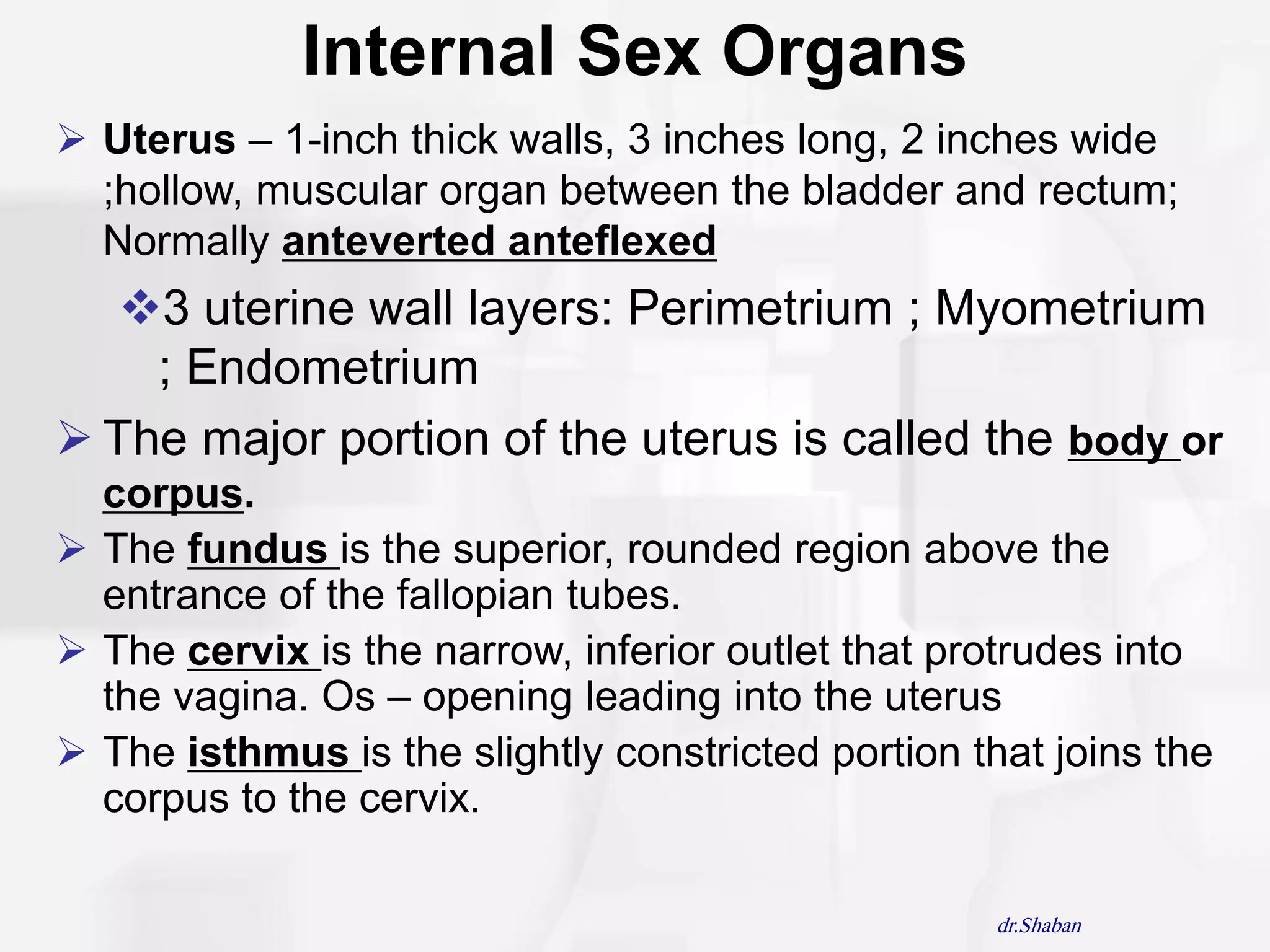 Internal Sex Organs
 Uterus – 1-inch thick walls, 3 inches long, 2 inches wide
  ;hollow, muscular organ between the bladder and rectum;
  Normally anteverted anteflexed
   3 uterine wall layers: Perimetrium ; Myometrium
    ; Endometrium
 The major portion of the uterus is called the body or
  corpus.
 The fundus is the superior, rounded region above the
  entrance of the fallopian tubes.
 The cervix is the narrow, inferior outlet that protrudes into
  the vagina. Os – opening leading into the uterus
 The isthmus is the slightly constricted portion that joins the
  corpus to the cervix.

                                                    dr.Shaban
 