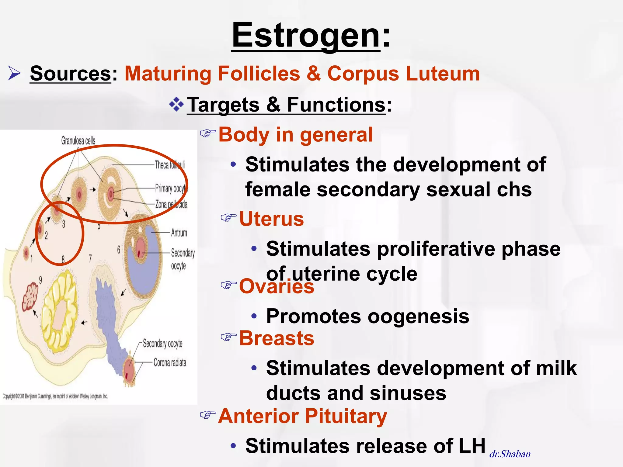 Estrogen:
 Sources: Maturing Follicles & Corpus Luteum
               Targets & Functions:
                  Body in general
                     • Stimulates the development of
                       female secondary sexual chs
                    Uterus
                        • Stimulates proliferative phase
                          of uterine cycle
                    Ovaries
                        • Promotes oogenesis
                    Breasts
                        • Stimulates development of milk
                          ducts and sinuses
                  Anterior Pituitary
                     • Stimulates release of LH dr.Shaban
 