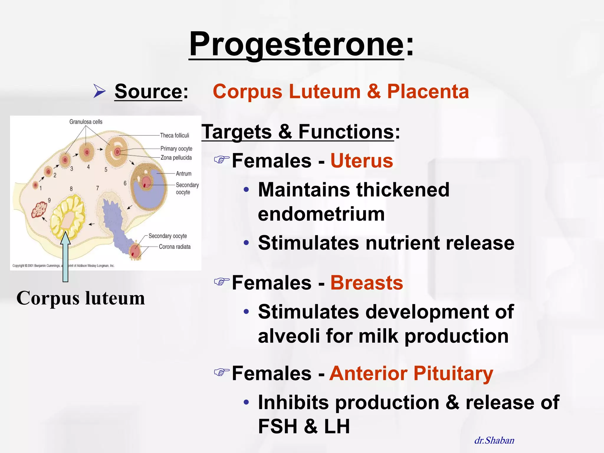 Progesterone:
        Source:   Corpus Luteum & Placenta

                Targets & Functions:
                  Females - Uterus
                     • Maintains thickened
                       endometrium
                     • Stimulates nutrient release
                   Females - Breasts
Corpus luteum
                     • Stimulates development of
                       alveoli for milk production
                   Females - Anterior Pituitary
                     • Inhibits production & release of
                       FSH & LH
                                              dr.Shaban
 