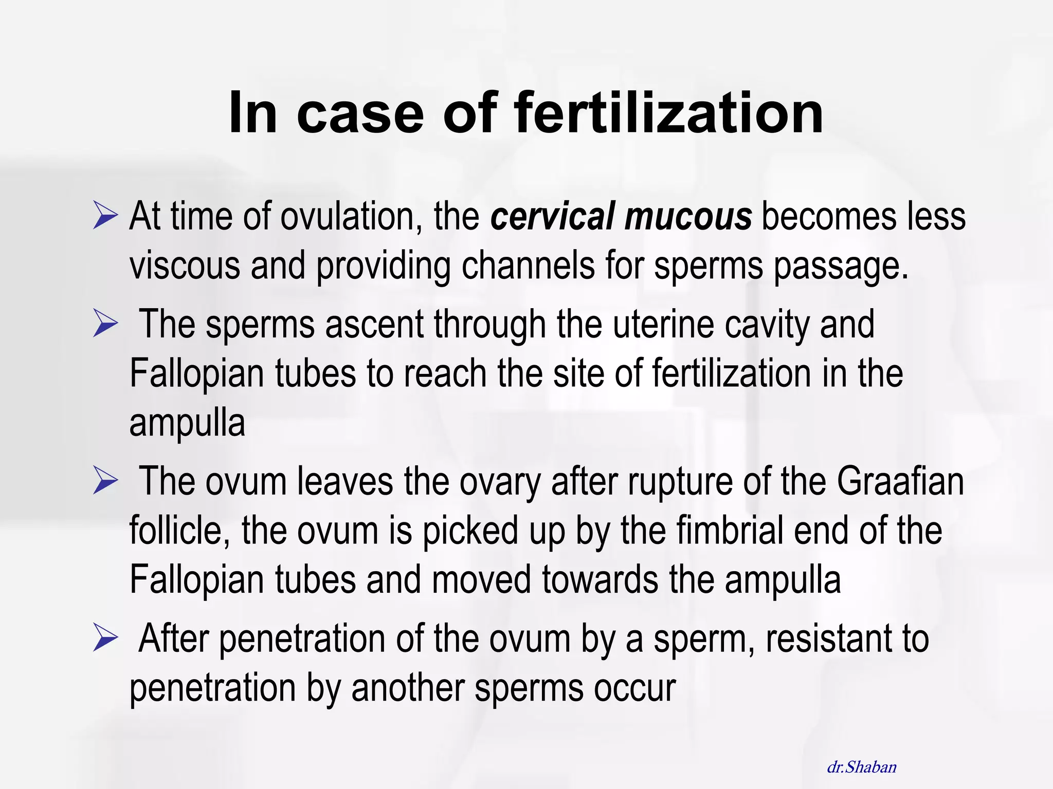 In case of fertilization
 At time of ovulation, the cervical mucous becomes less
  viscous and providing channels for sperms passage.
 The sperms ascent through the uterine cavity and
  Fallopian tubes to reach the site of fertilization in the
  ampulla
 The ovum leaves the ovary after rupture of the Graafian
  follicle, the ovum is picked up by the fimbrial end of the
  Fallopian tubes and moved towards the ampulla
 After penetration of the ovum by a sperm, resistant to
  penetration by another sperms occur
                                                  dr.Shaban
 