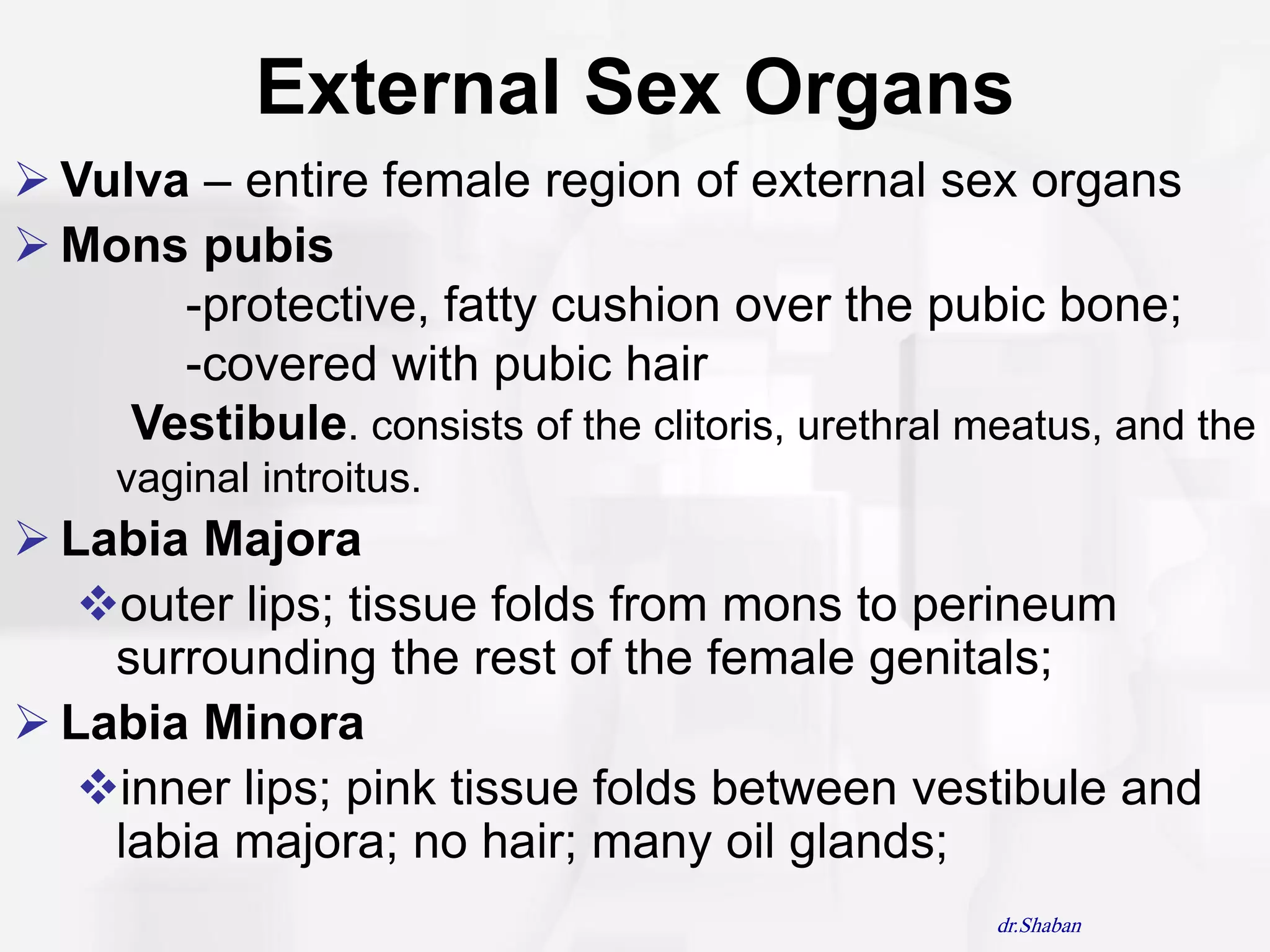 External Sex Organs
 Vulva – entire female region of external sex organs
 Mons pubis
       -protective, fatty cushion over the pubic bone;
       -covered with pubic hair
     Vestibule. consists of the clitoris, urethral meatus, and the
     vaginal introitus.
 Labia Majora
   outer lips; tissue folds from mons to perineum
    surrounding the rest of the female genitals;
 Labia Minora
   inner lips; pink tissue folds between vestibule and
    labia majora; no hair; many oil glands;
                                                    dr.Shaban
 