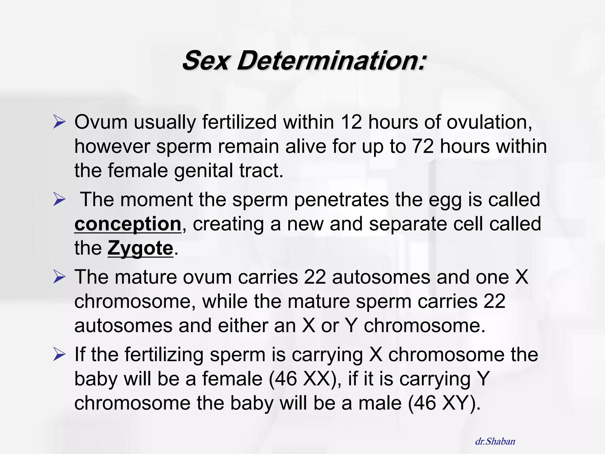 Sex Determination:

 Ovum usually fertilized within 12 hours of ovulation,
  however sperm remain alive for up to 72 hours within
  the female genital tract.
 The moment the sperm penetrates the egg is called
  conception, creating a new and separate cell called
  the Zygote.
 The mature ovum carries 22 autosomes and one X
  chromosome, while the mature sperm carries 22
  autosomes and either an X or Y chromosome.
 If the fertilizing sperm is carrying X chromosome the
  baby will be a female (46 XX), if it is carrying Y
  chromosome the baby will be a male (46 XY).
                                              dr.Shaban
 