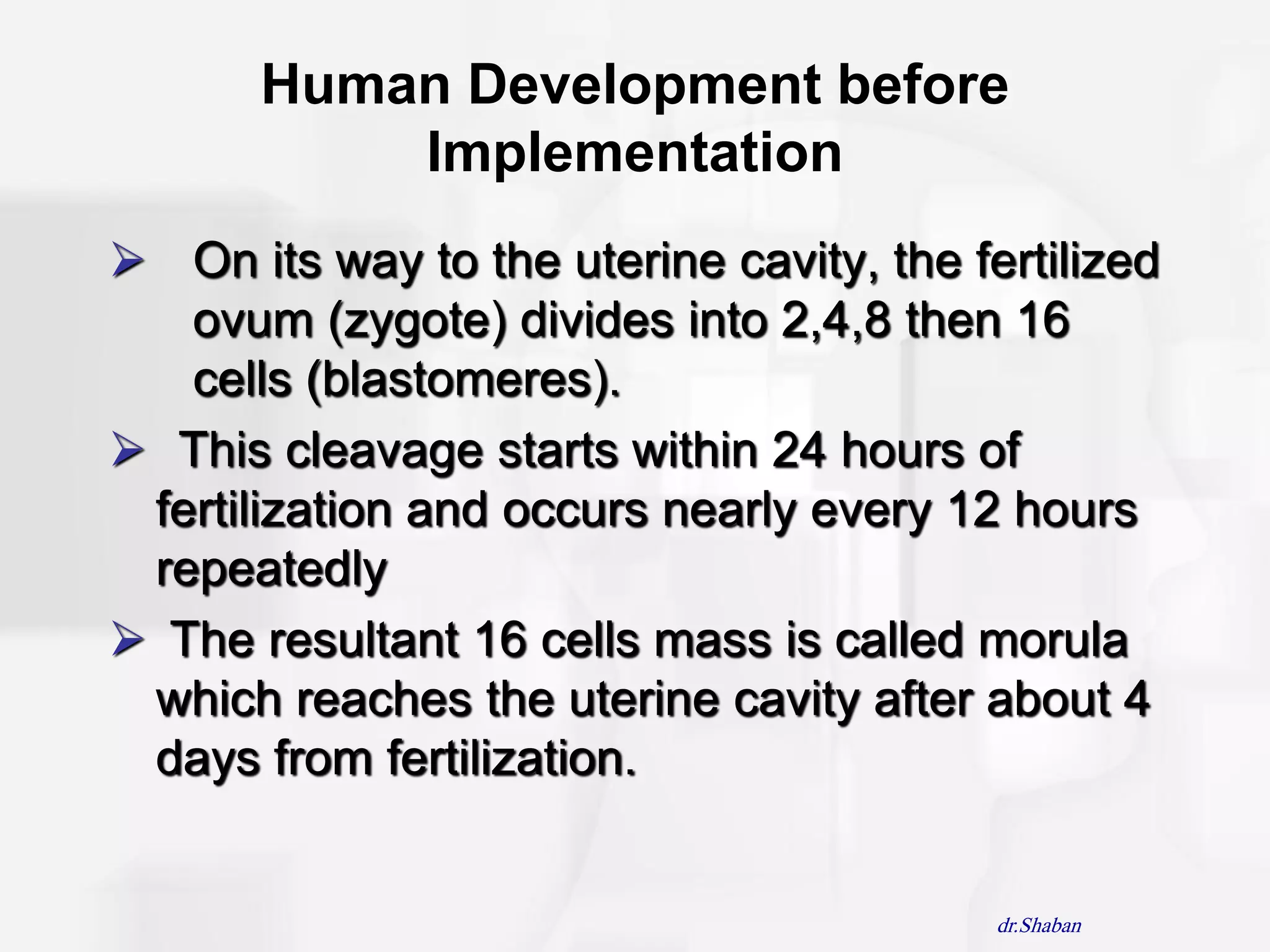 Human Development before
           Implementation
 On its way to the uterine cavity, the fertilized
   ovum (zygote) divides into 2,4,8 then 16
   cells (blastomeres).
 This cleavage starts within 24 hours of
 fertilization and occurs nearly every 12 hours
 repeatedly
 The resultant 16 cells mass is called morula
 which reaches the uterine cavity after about 4
 days from fertilization.


                                          dr.Shaban
 