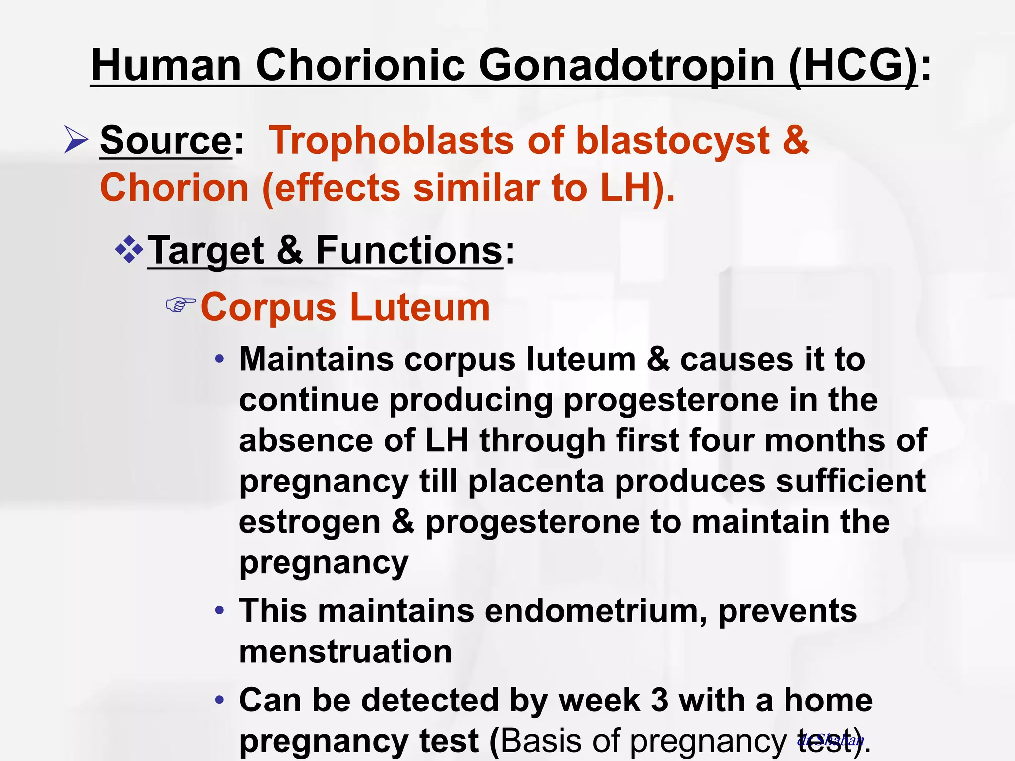 Human Chorionic Gonadotropin (HCG):
 Source: Trophoblasts of blastocyst &
  Chorion (effects similar to LH).
  Target & Functions:
    Corpus Luteum
       • Maintains corpus luteum & causes it to
         continue producing progesterone in the
         absence of LH through first four months of
         pregnancy till placenta produces sufficient
         estrogen & progesterone to maintain the
         pregnancy
       • This maintains endometrium, prevents
         menstruation
       • Can be detected by week 3 with a home
         pregnancy test (Basis of pregnancy dr.Shaban
                                            test).
 