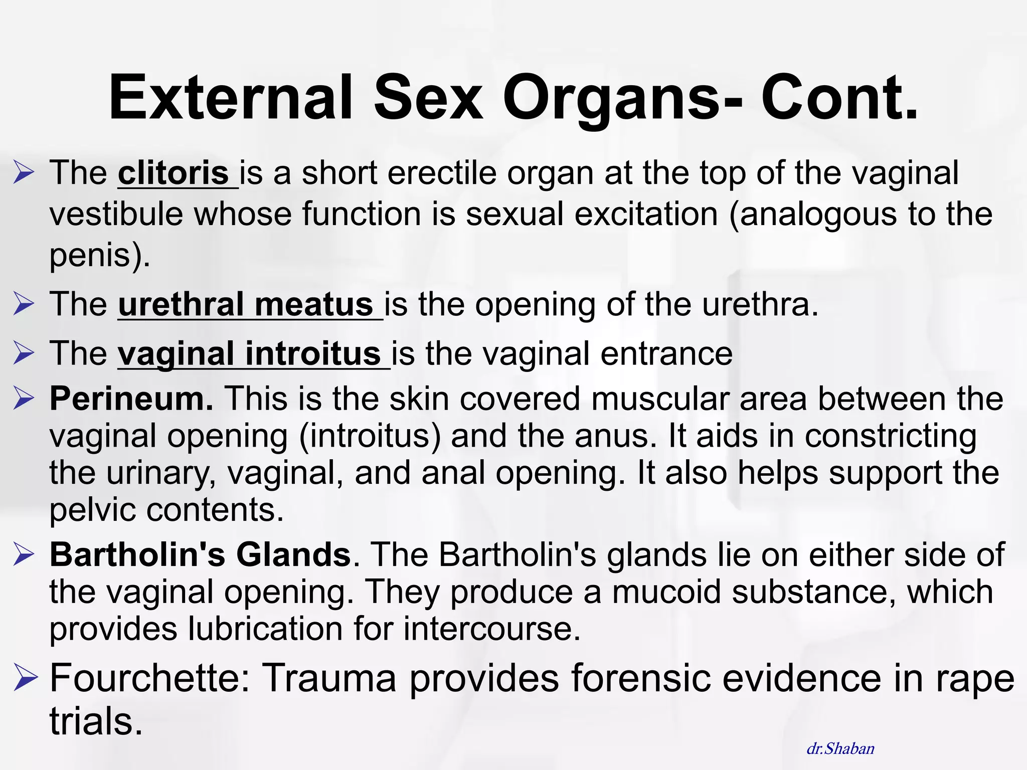 External Sex Organs- Cont.
 The clitoris is a short erectile organ at the top of the vaginal
  vestibule whose function is sexual excitation (analogous to the
  penis).
 The urethral meatus is the opening of the urethra.
 The vaginal introitus is the vaginal entrance
 Perineum. This is the skin covered muscular area between the
  vaginal opening (introitus) and the anus. It aids in constricting
  the urinary, vaginal, and anal opening. It also helps support the
  pelvic contents.
 Bartholin's Glands. The Bartholin's glands lie on either side of
  the vaginal opening. They produce a mucoid substance, which
  provides lubrication for intercourse.
 Fourchette: Trauma provides forensic evidence in rape
  trials.                                  dr.Shaban
 