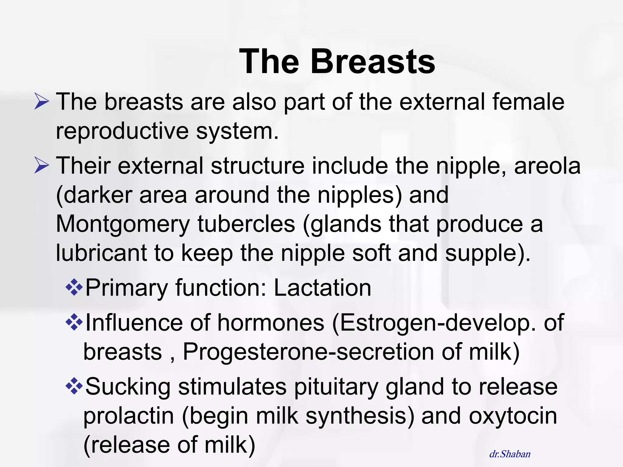 The Breasts
 The breasts are also part of the external female
  reproductive system.
 Their external structure include the nipple, areola
  (darker area around the nipples) and
  Montgomery tubercles (glands that produce a
  lubricant to keep the nipple soft and supple).
   Primary function: Lactation
   Influence of hormones (Estrogen-develop. of
     breasts , Progesterone-secretion of milk)
   Sucking stimulates pituitary gland to release
     prolactin (begin milk synthesis) and oxytocin
     (release of milk)                      dr.Shaban
 