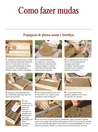 7
Propagação de plantas anuais e hortaliças
Qualquer recipiente pode ser usado
como sementeira, desde que tenha pelo
menos 15 cm de altura. No caso de
caixas de madeira, preencha as frestas
com pedriscos. Isso impede que o
substrato escape e facilita a drenagem.
Para que a terra preparada fique
bem distribuída, passe uma régua nas
laterais da sementeira.
Em seguida, amasse (a terra tem
de ficar firme e não compacta) com
uma tábua ou algo semelhante.
Se as sementes forem
pequenas, espalhe-as com a mão,
na superfície do substrato.
Se elas forem um pouco maiores, semelhantes a grãos, proceda da seguinte
forma: com um lápis, faça furinhos distanciados cerca de 4 ou 5 cm entre si, em linha
reta, com a ajuda de uma régua. Os furos devem ter uma profundidade de 3 vezes o
diâmetro da semente. Depois é só colocar uma semente em cada um dos furos.
Já as
sementes que
se parecem com
um pó fino
devem ser
colocadas em
um papel, para
depois deixar
que caiam
distribuídas nas
linhas
previamente
sulcadas.
O substrato ideal para a
semeadura deve conter partes
iguais de terra comum de jardim,
composto orgânico e areia de
construção. Peneire muito bem
todas as partes utilizadas.
Em seguida, mexa tudo, com as
mãos ou com uma pazinha, até
conseguir uma mistura
homogênea. Preencha então a
sementeira com o substrato
formado com a mistura.
Como fazer mudas
2.1. 3.
4. 5. 6.
7.
8.
Fotos:BrunoSellmer
 