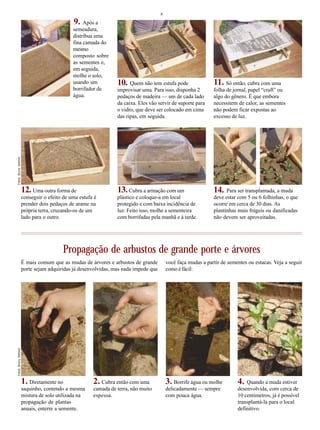 8
Após a
semeadura,
distribua uma
fina camada do
mesmo
composto sobre
as sementes e,
em seguida,
molhe o solo,
usando um
borrifador de
água.
Quem não tem estufa pode
improvisar uma. Para isso, disponha 2
pedaços de madeira — um de cada lado
da caixa. Eles vão servir de suporte para
o vidro, que deve ser colocado em cima
das ripas, em seguida.
Só então, cubra com uma
folha de jornal, papel “craft” ou
algo do gênero. É que embora
necessitem de calor, as sementes
não podem ficar expostas ao
excesso de luz.
Uma outra forma de
conseguir o efeito de uma estufa é
prender dois pedaços de arame na
própria terra, cruzando-os de um
lado para o outro.
Cubra a armação com um
plástico e coloque-a em local
protegido e com baixa incidência de
luz. Feito isso, molhe a sementeira
com borrifadas pela manhã e à tarde.
Para ser transplantada, a muda
deve estar com 5 ou 6 folhinhas, o que
ocorre em cerca de 30 dias. As
plantinhas mais frágeis ou danificadas
não devem ser aproveitadas.
Propagação de arbustos de grande porte e árvores
Diretamente no
saquinho, contendo a mesma
mistura de solo utilizada na
propagação de plantas
anuais, enterre a semente.
Cubra então com uma
camada de terra, não muito
espessa.
Borrife água ou molhe
delicadamente — sempre
com pouca água.
Quando a muda estiver
desenvolvida, com cerca de
10 centímetros, já é possível
transplantá-la para o local
definitivo.
É mais comum que as mudas de árvores e arbustos de grande
porte sejam adquiridas já desenvolvidas, mas nada impede que
9.
10. 11.
12. 13.
você faça mudas a partir de sementes ou estacas. Veja a seguir
como é fácil:
14.
1. 2. 3. 4.
Fotos:BrunoSellmerFotos:BrunoSellmer
 