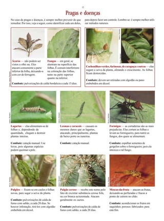 12
Pragas e doenças
Ácaros — não podem ser
vistos a olho nu. Eles
atacam comumente a parte
inferior da folha, deixando-a
com cor de ferrugem.
Fungos — em geral, se
alastram na superfície das
folhas. É comum interferirem
na coloração das folhas,
tanto na parte superior
quanto na inferior.
Combate: pulverizações de calda bordaleza a cada 15 dias.
Formigas — as cortadeiras são as mais
prejudicias. Elas cortam as folhas e
levam ao formigueiro, para nutrir os
fungos, dos quais se alimentam.
Combate: espalhar sementes de
gergelim sobre o formigueiro, pois ele
intoxica o tal fungo.
Lagartas — elas alimentam-se de
folhas e, dependendo da
quantidade, chegam a destruir
plantas inteiras.
Combate: catação manual. Use
luvas, pois algumas espécies
podem queimar a pele.
Lesmas e caracois — causam os
mesmos danos que as lagartas,
atacando, principalmente, plantas
de baixo porte ou rasteiras.
Combate: catação manual.
Pulgões — fixam-se em caules e folhas
novas, para sugar a seiva da planta.
Combate: pulverizações de calda de
fumo com sabão, a cada 20 dias. Se
houver infestação, tirá-los com algodão
embebido em álcool.
Pulgão ceroso — recebe este nome pelo
fato de excretar substância cerosa fofa,
na cor branca acinzentada. Atacam
geralmente os cactos.
Combate: pulverizações de calda de
fumo com sabão, a cada 20 dias.
Cochonilhas-verdes, farinosas, de carapaça e outras — elas
sugam a seiva da planta, afetando o crescimento. As folhas
ficam destorcidas.
Combate: devem ser retiradas com algodão ou pano
embebidos em álcool.
Moscas-da-fruta — atacam as frutas,
deixando-as perfuradas e fracas a
ponto de caírem no chão.
Combate: acondicionar os frutos em
saquinhos porosos fabricados para
este fim.
No caso de pragas e doenças, é sempre melhor prevenir do que
remediar. Por isso, veja a seguir, como identificar cada um deles,
para depois fazer um controle. Lembre-se: é sempre melhor utili-
zar métodos naturais.
Fotos:ValerioRomahnValerioRomahn
ValerioRomahn
BrunoSellmer
ValerioRomahn
ValerioRomahn
BrunoSellmer
BrunoSellmer
BrunoSellmer
 