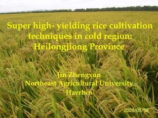 Super high- yielding rice cultivation  techniques in cold region: Heilongjiong Province  Jin Zhengxun Northeast Agricultural University Haerbin 