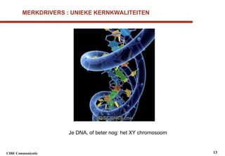 MERKDRIVERS : UNIEKE KERNKWALITEITEN Je DNA, of beter nog: het XY chromosoom 