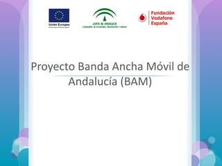Proyecto Banda Ancha Móvil de Andalucía (BAM) Formación sobre  Ayudas Técnicas TIC 