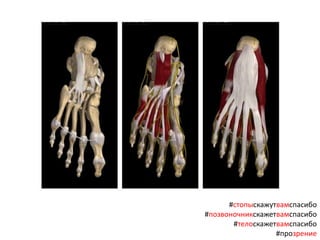 #стопыскажутвамспасибо
#позвоночникскажетвамспасибо
#телоскажетвамспасибо
#прозрение
 