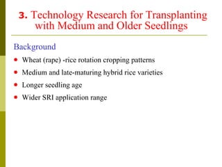 3.  Technology Research for Transplanting with Medium and Older Seedlings <ul><li>Background   </li></ul><ul><li>Wheat (ra...