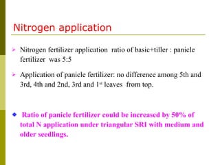 Nitrogen application <ul><li>Nitrogen fertilizer application  ratio of basic+tiller  :  panicle fertilizer  was  5:5  </li...
