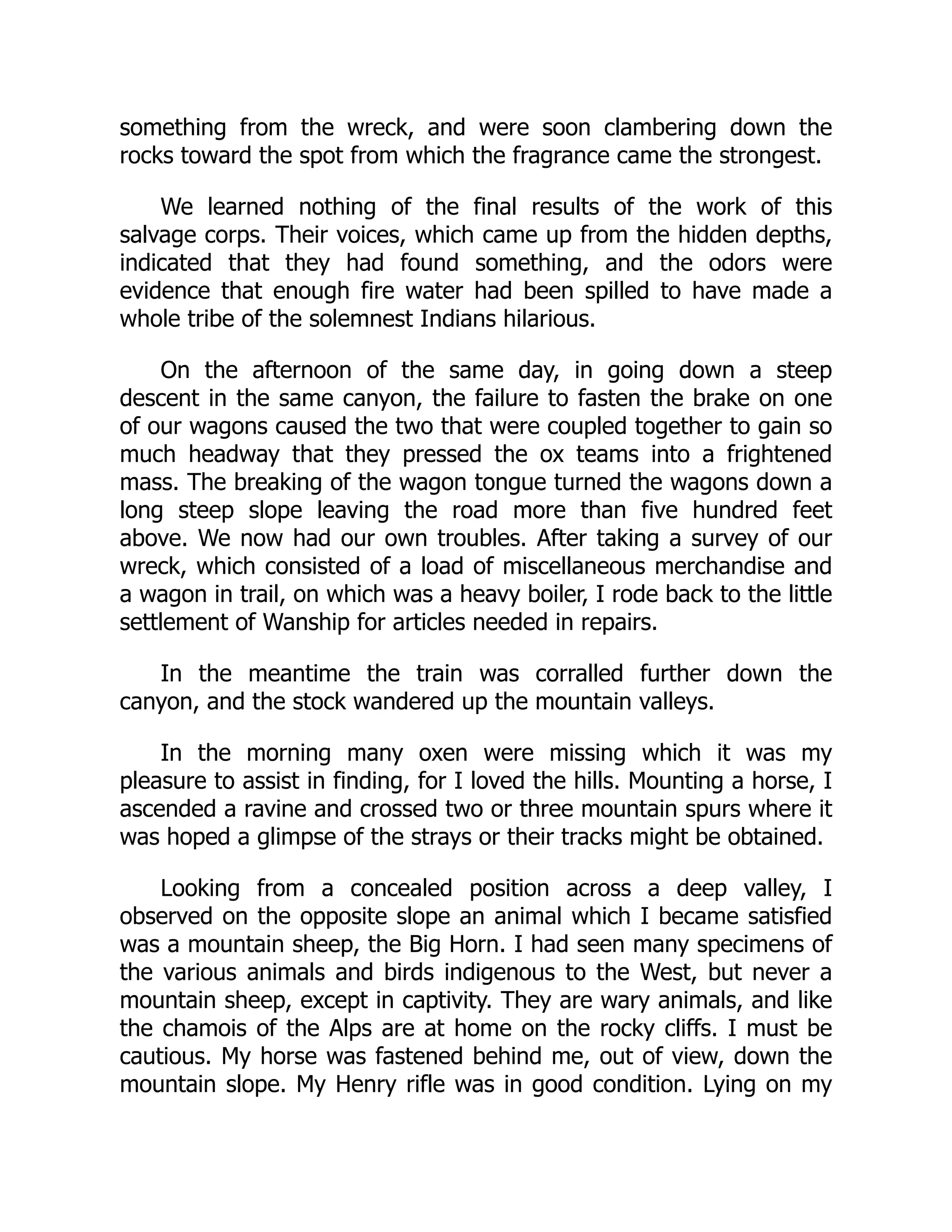 something from the wreck, and were soon clambering down the
rocks toward the spot from which the fragrance came the strongest.
We learned nothing of the final results of the work of this
salvage corps. Their voices, which came up from the hidden depths,
indicated that they had found something, and the odors were
evidence that enough fire water had been spilled to have made a
whole tribe of the solemnest Indians hilarious.
On the afternoon of the same day, in going down a steep
descent in the same canyon, the failure to fasten the brake on one
of our wagons caused the two that were coupled together to gain so
much headway that they pressed the ox teams into a frightened
mass. The breaking of the wagon tongue turned the wagons down a
long steep slope leaving the road more than five hundred feet
above. We now had our own troubles. After taking a survey of our
wreck, which consisted of a load of miscellaneous merchandise and
a wagon in trail, on which was a heavy boiler, I rode back to the little
settlement of Wanship for articles needed in repairs.
In the meantime the train was corralled further down the
canyon, and the stock wandered up the mountain valleys.
In the morning many oxen were missing which it was my
pleasure to assist in finding, for I loved the hills. Mounting a horse, I
ascended a ravine and crossed two or three mountain spurs where it
was hoped a glimpse of the strays or their tracks might be obtained.
Looking from a concealed position across a deep valley, I
observed on the opposite slope an animal which I became satisfied
was a mountain sheep, the Big Horn. I had seen many specimens of
the various animals and birds indigenous to the West, but never a
mountain sheep, except in captivity. They are wary animals, and like
the chamois of the Alps are at home on the rocky cliffs. I must be
cautious. My horse was fastened behind me, out of view, down the
mountain slope. My Henry rifle was in good condition. Lying on my
 