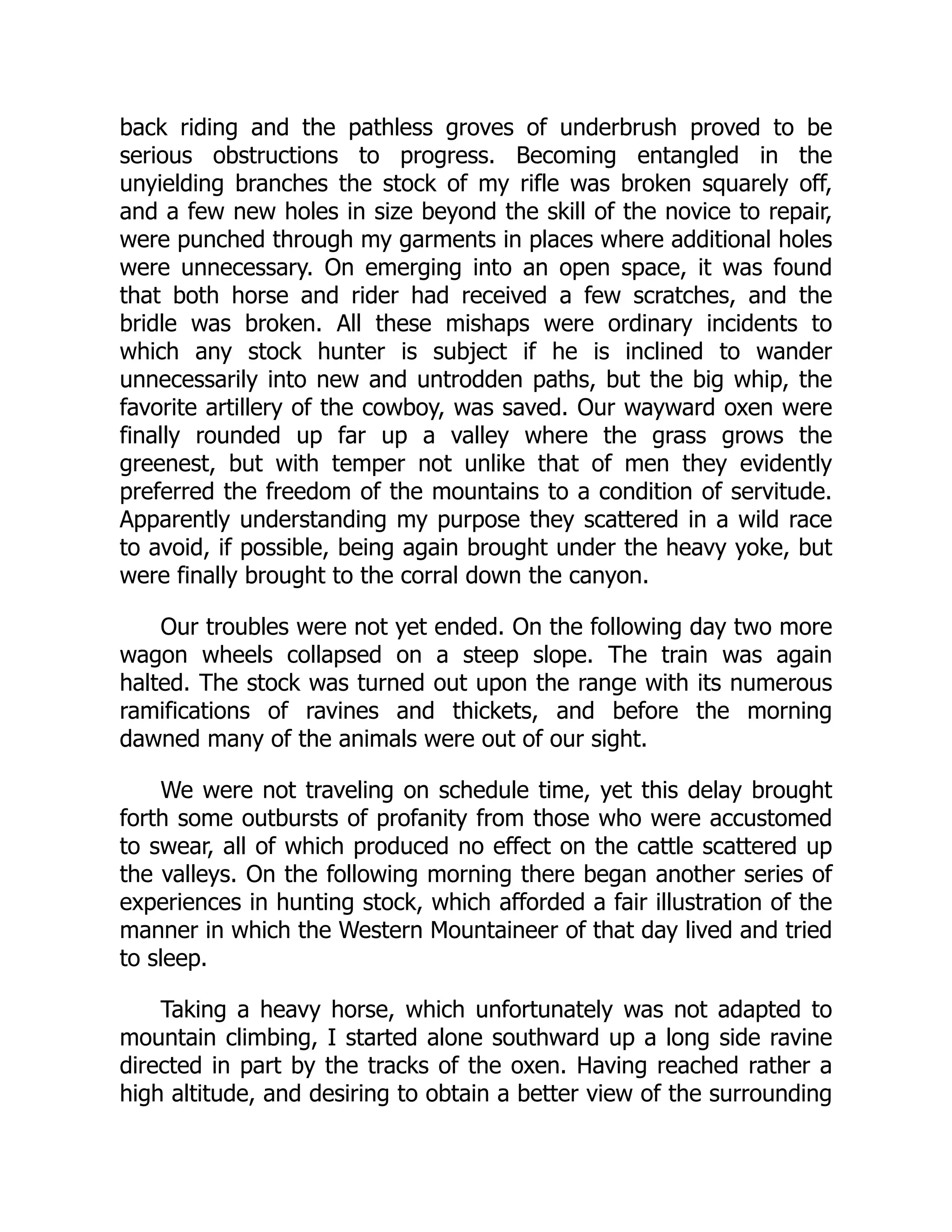 back riding and the pathless groves of underbrush proved to be
serious obstructions to progress. Becoming entangled in the
unyielding branches the stock of my rifle was broken squarely off,
and a few new holes in size beyond the skill of the novice to repair,
were punched through my garments in places where additional holes
were unnecessary. On emerging into an open space, it was found
that both horse and rider had received a few scratches, and the
bridle was broken. All these mishaps were ordinary incidents to
which any stock hunter is subject if he is inclined to wander
unnecessarily into new and untrodden paths, but the big whip, the
favorite artillery of the cowboy, was saved. Our wayward oxen were
finally rounded up far up a valley where the grass grows the
greenest, but with temper not unlike that of men they evidently
preferred the freedom of the mountains to a condition of servitude.
Apparently understanding my purpose they scattered in a wild race
to avoid, if possible, being again brought under the heavy yoke, but
were finally brought to the corral down the canyon.
Our troubles were not yet ended. On the following day two more
wagon wheels collapsed on a steep slope. The train was again
halted. The stock was turned out upon the range with its numerous
ramifications of ravines and thickets, and before the morning
dawned many of the animals were out of our sight.
We were not traveling on schedule time, yet this delay brought
forth some outbursts of profanity from those who were accustomed
to swear, all of which produced no effect on the cattle scattered up
the valleys. On the following morning there began another series of
experiences in hunting stock, which afforded a fair illustration of the
manner in which the Western Mountaineer of that day lived and tried
to sleep.
Taking a heavy horse, which unfortunately was not adapted to
mountain climbing, I started alone southward up a long side ravine
directed in part by the tracks of the oxen. Having reached rather a
high altitude, and desiring to obtain a better view of the surrounding
 