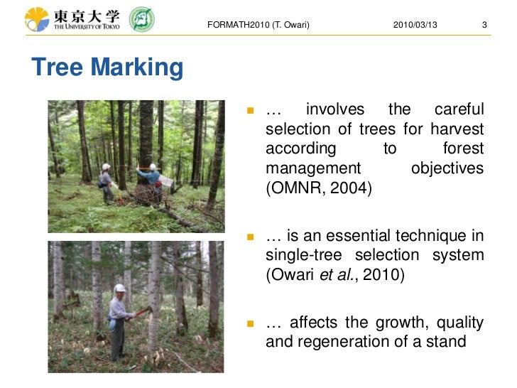 Using global positioning system (GPS) technology for tree marking in