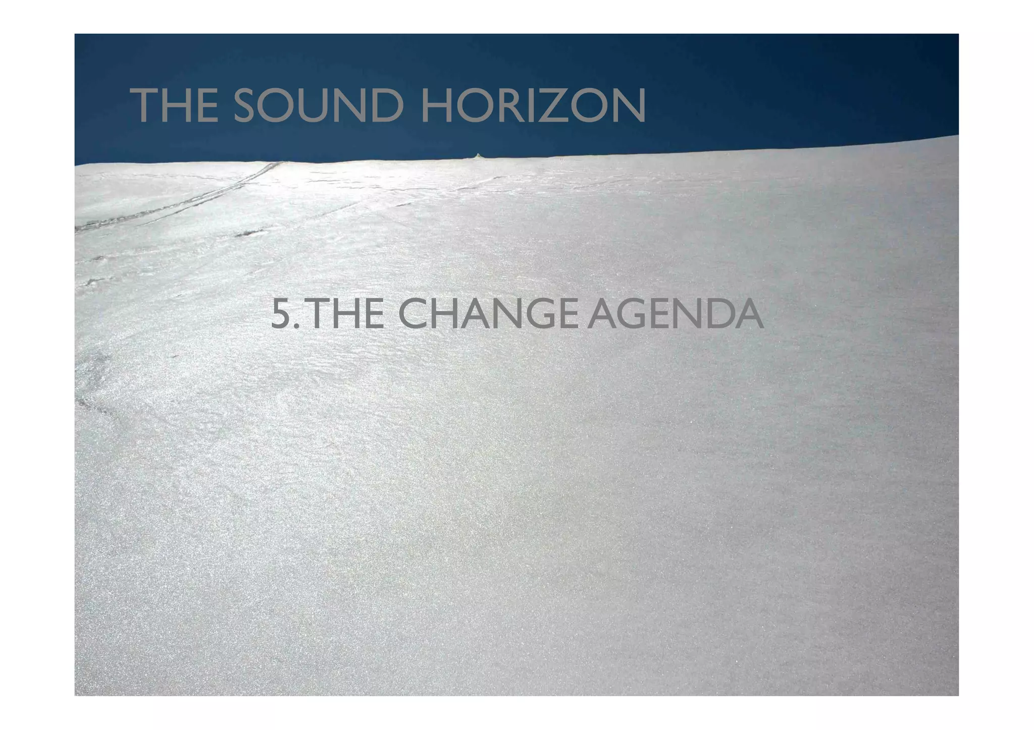 THE SOUND HORIZON	




     5. THE CHANGE AGENDA	

 