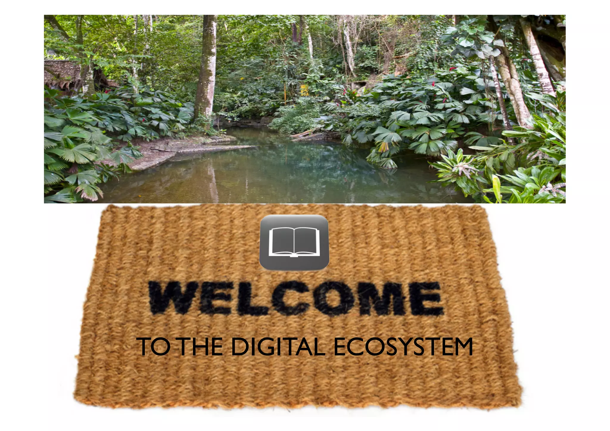 TO THE DIGITAL ECOSYSTEM	

 