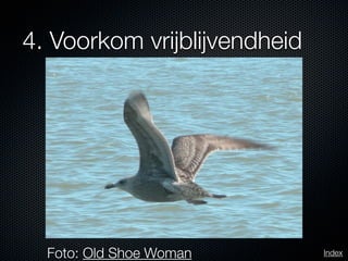 4. Voorkom vrijblijvendheid




  Foto: Old Shoe Woman        Index
 
