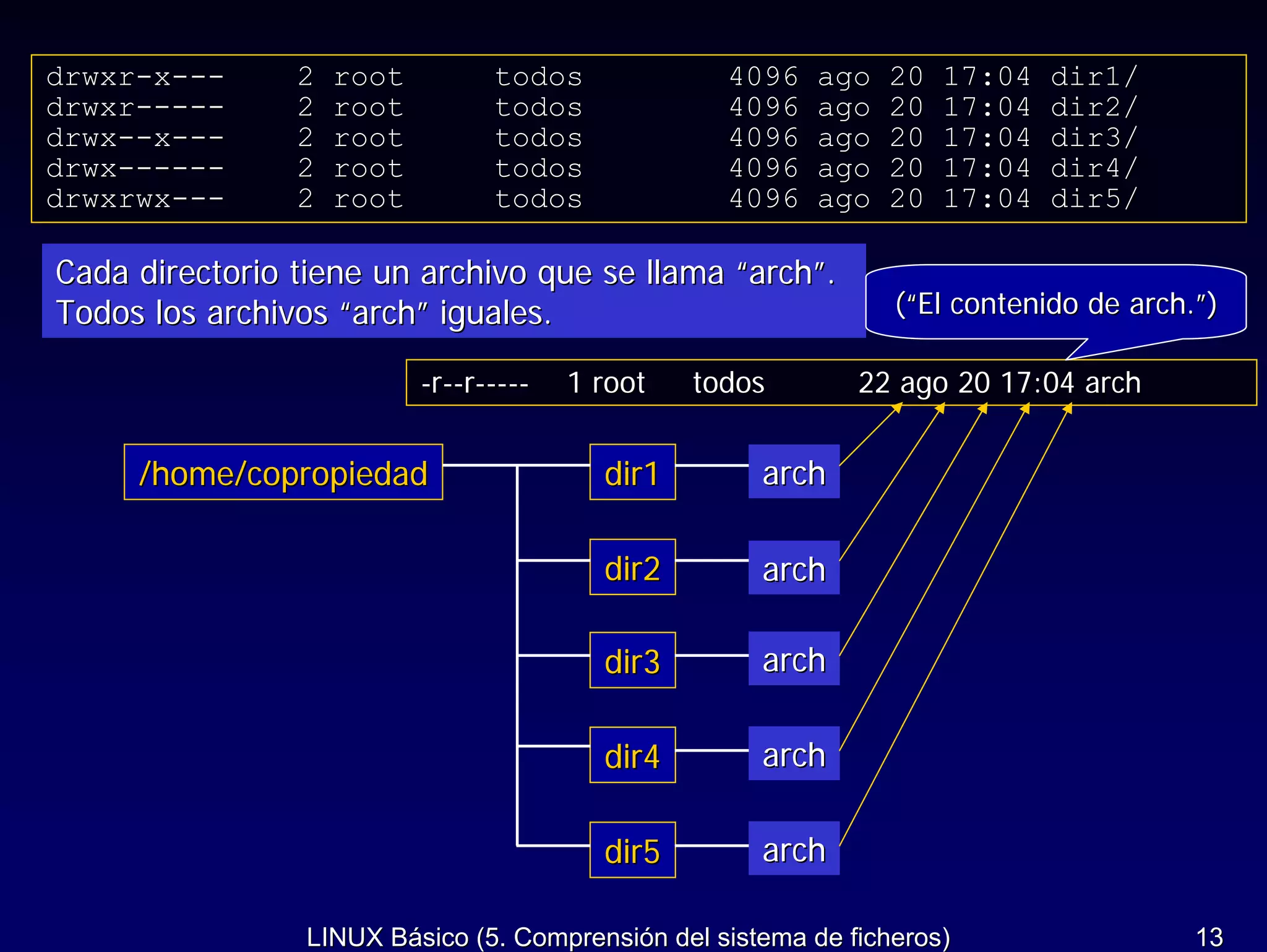 drwxr-x---      2   root         todos             4096   ago   20   17:04   dir1/
drwxr-----      2   root         todos             4096   ago   20   17:04   dir2/
drwx--x---      2   root         todos             4096   ago   20   17:04   dir3/
drwx------      2   root         todos             4096   ago   20   17:04   dir4/
drwxrwx---      2   root         todos             4096   ago   20   17:04   dir5/

Cada directorio tiene un archivo que se llama “arch”.
Todos los archivos “arch” iguales.                               (“El contenido de arch.”)

                           -r--r-----   1 root   todos        22 ago 20 17:04 arch


     /home/copropiedad                    dir1        arch

                                          dir2        arch

                                          dir3        arch

                                          dir4        arch

                                          dir5        arch

                 LINUX Básico (5. Comprensión del sistema de ficheros)                  13
 