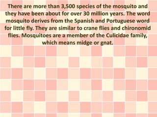 There are more than 3,500 species of the mosquito and
they have been about for over 30 million years. The word
 mosquito derives from the Spanish and Portuguese word
for little fly. They are similar to crane flies and chironomid
 flies. Mosquitoes are a member of the Culicidae family,
                  which means midge or gnat.
 